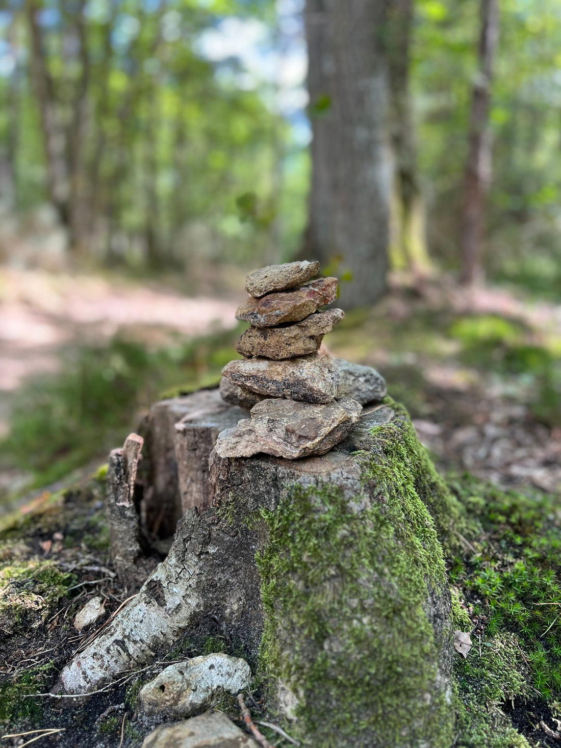 Wising Stones Mediation Manifestation Minerals