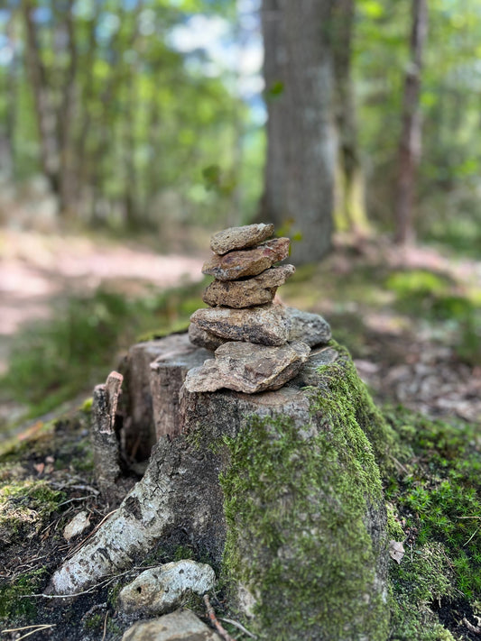 Wising Stones Mediation Manifestation Minerals