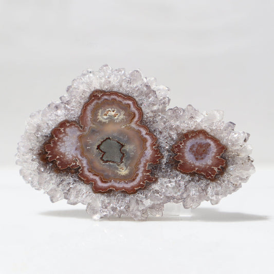 Brown Agate Center - Rare Stalactite Slice - Deepest Earth