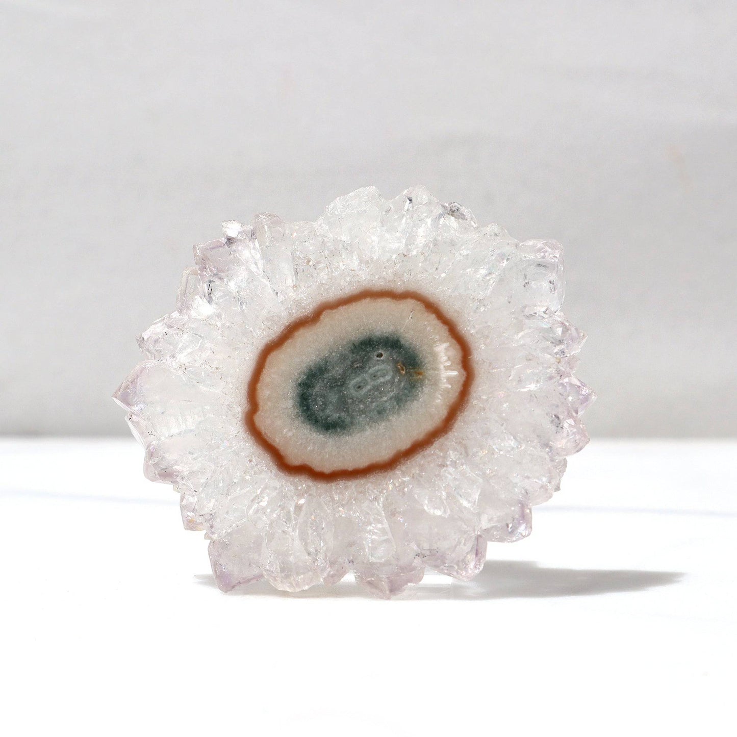 White Quartz Crystals - Mineral Flower Stalactite Slice - Deepest Earth