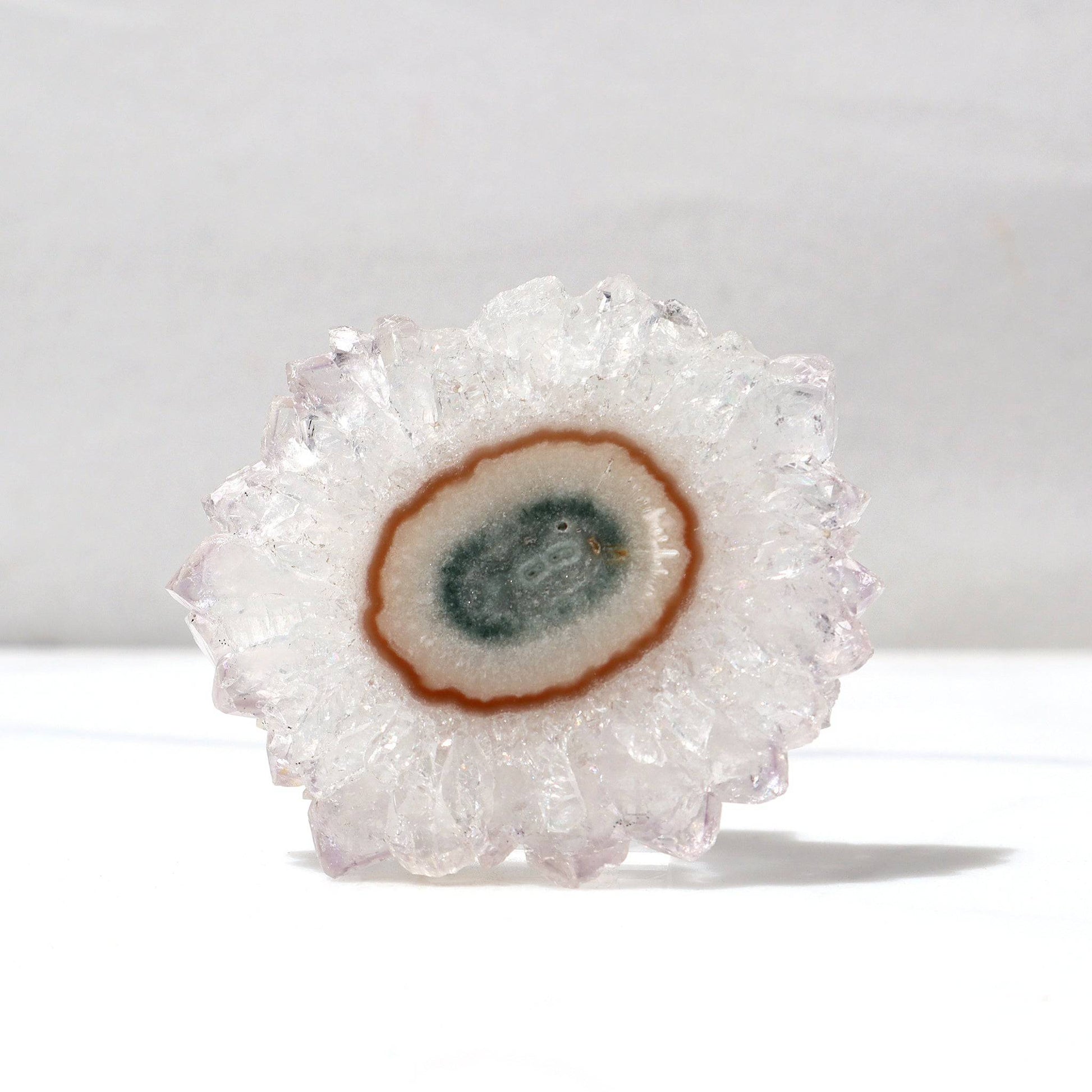 White Quartz Crystals - Mineral Flower Stalactite Slice - Deepest Earth