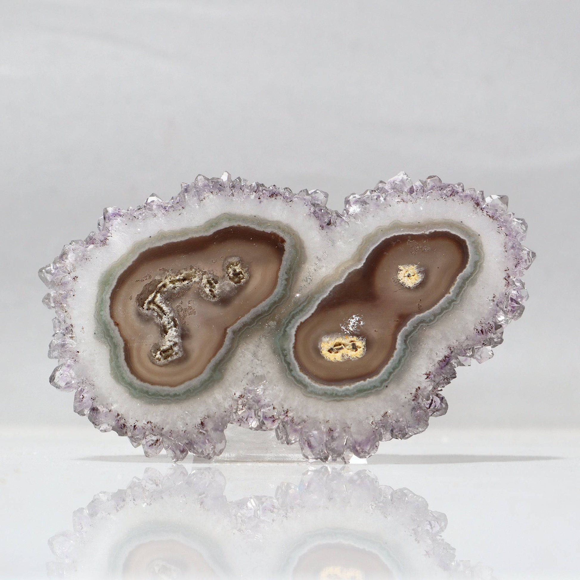 Double Stalactite Slice Specimen High Quality and Rare from Uruguay - Deepest Earth