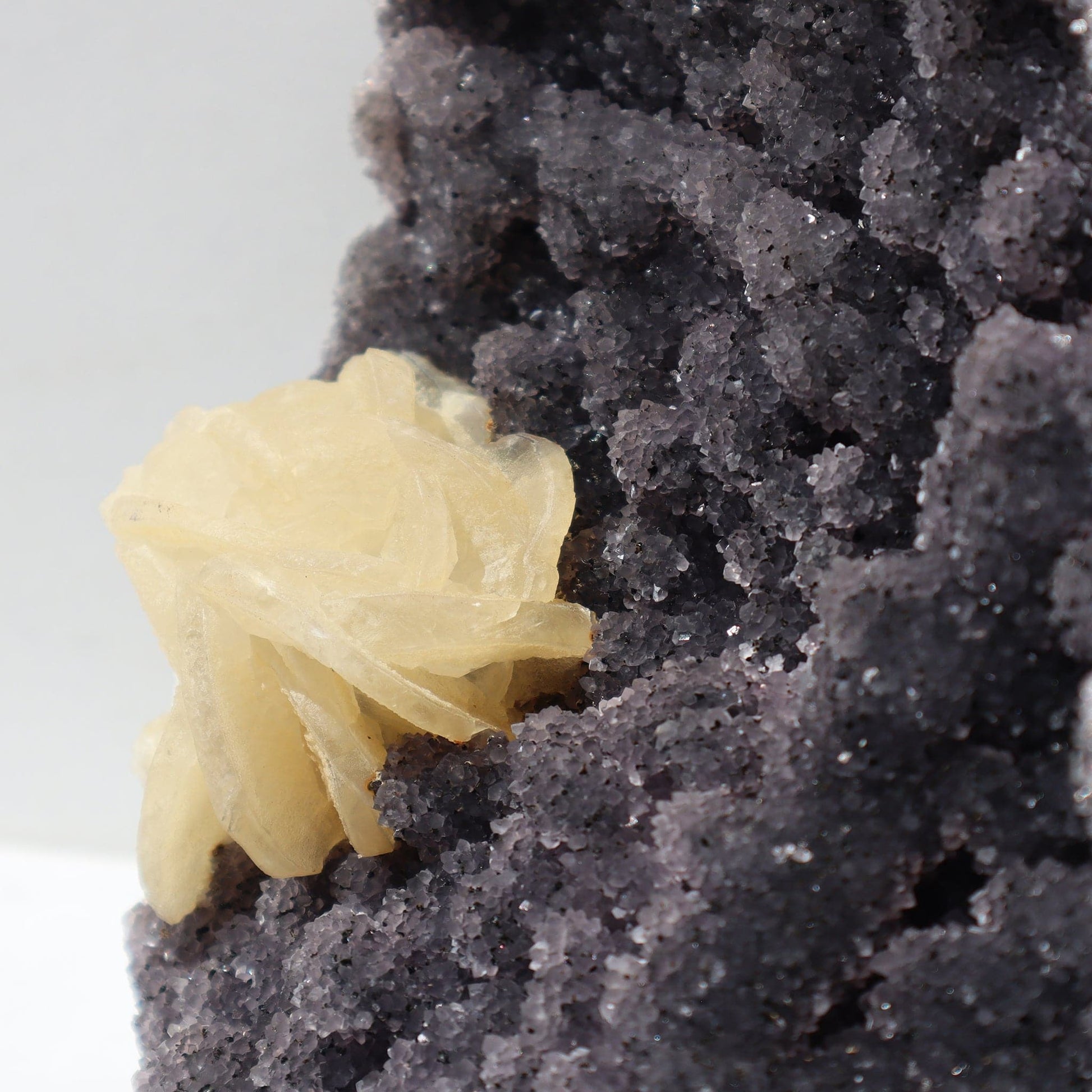 Charcoal Rare Druzy Amethyst - Rosette Flower