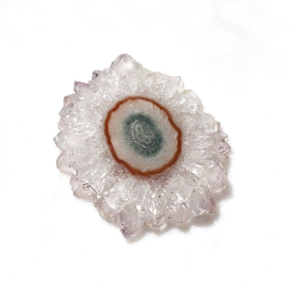 White Quartz Crystals - Mineral Flower Stalactite Slice - Deepest Earth