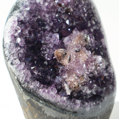 Seastar Amethyst Quartz Mineral Decor for sale from Uruguay - Deepest Earth
